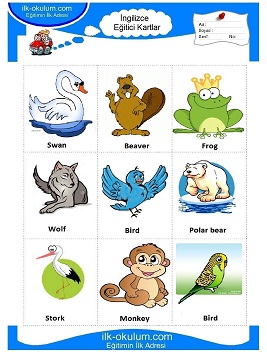 ingilizce Hayvanlar flashcard-eğitici kartlar 